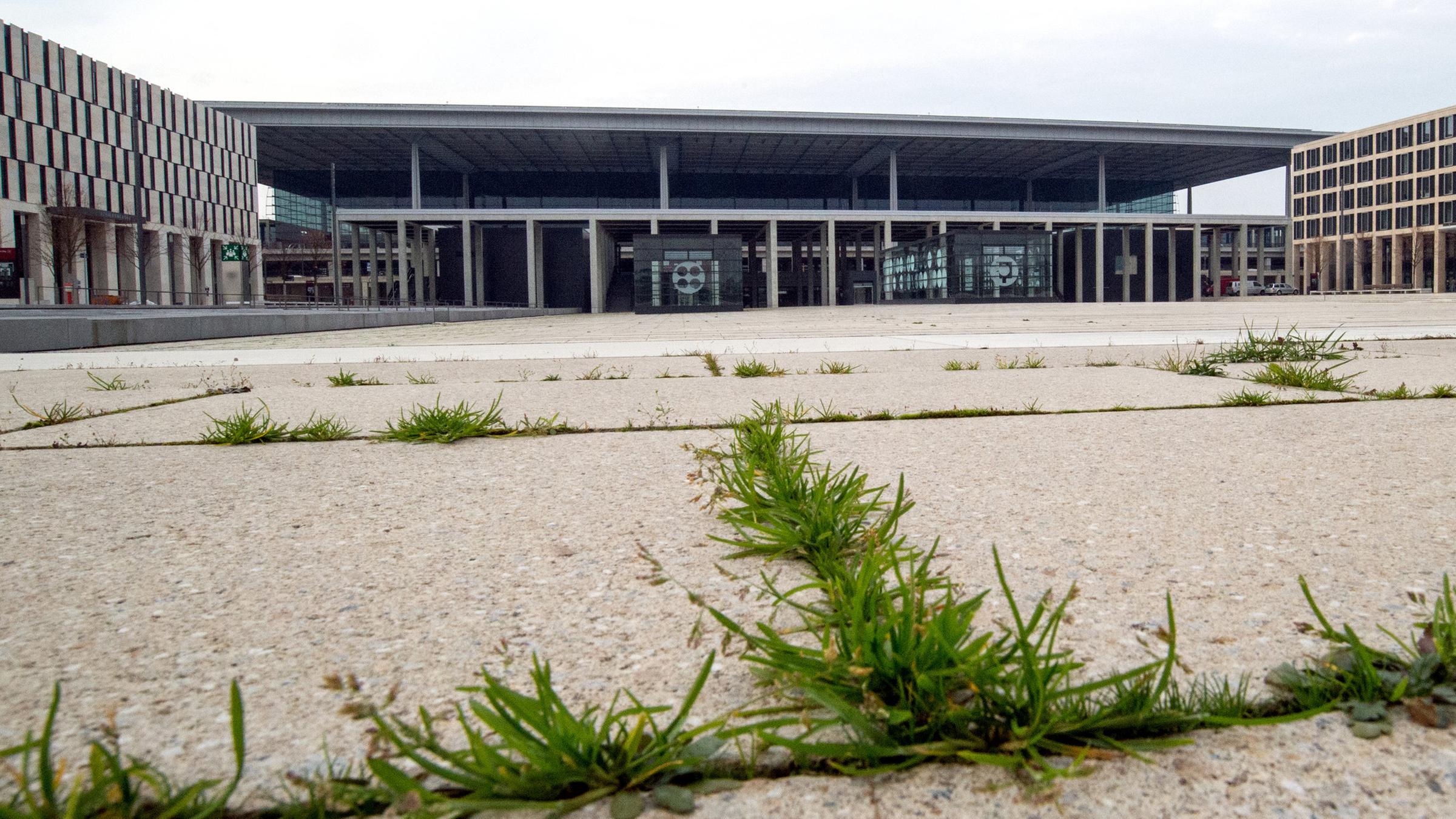 Archiv: Unkraut sprießt am 05.11.2014 aus den Betonfugen auf dem Willy-Brandt-Platz vor dem Terminal des Hauptstadtflughafens (BER) Berlin Brandenburg