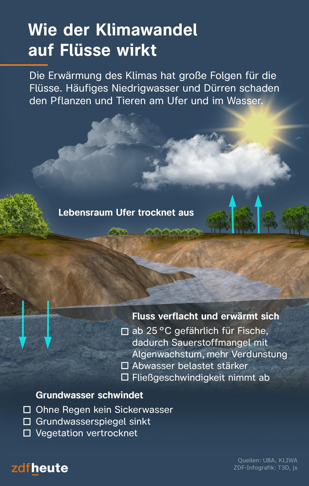 Flora und Fauna leiden unter Dürren und Niedrigwasser der Flusslandschaften. Der Lebensraum Ufer trocknet aus. Ohne Regen kein Sickerwasser, der Grundwasserspiegel sinkt dann. Der Fluss verflacht und erwärmt sich. Ab 25 Grad wird es für Fische gefährlich. Abwasser bekommt mehr Gewicht im Verhältnis, die Fließgeschwindigkeit nimmt ab.   