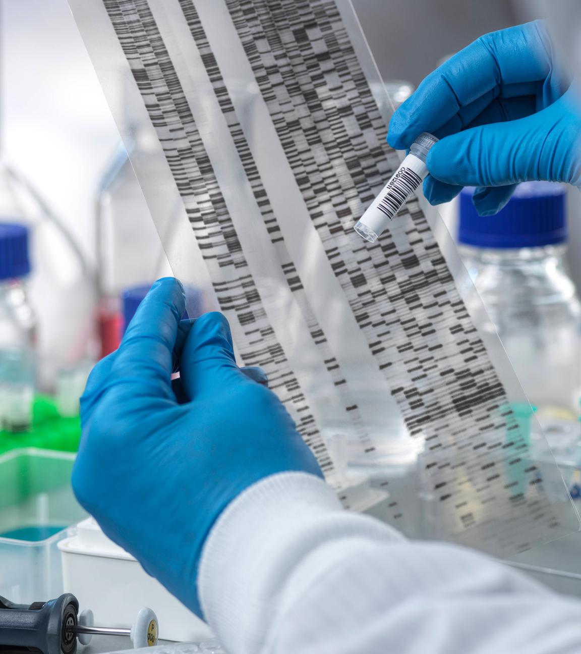 Wissenschaftler analysiert Proben im Labor