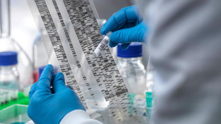 Wissenschaftler analysiert Proben im Labor