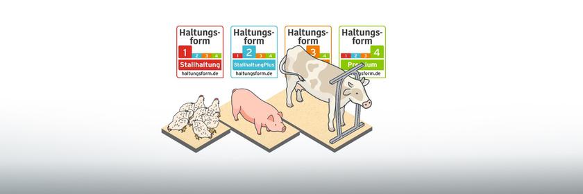 Das Foto zeigt Illustrationen von Hühnern, ein Schwein und ein Rind - und die vier Stufen des Haltungsform-Labels.