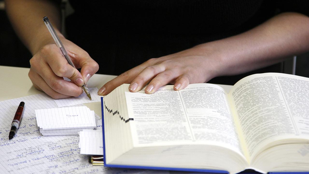 Standbild:makroskop Bildung