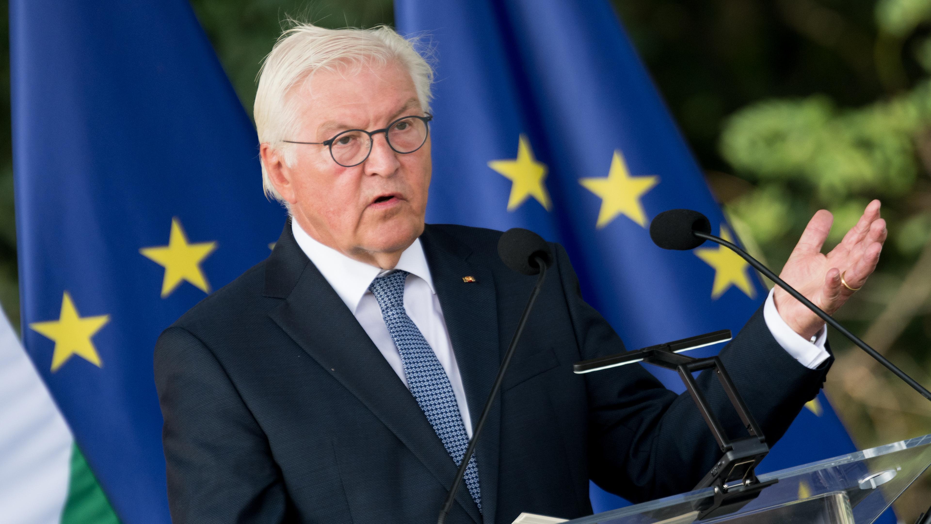 Bundespräsident Frank-Walter-Steinmeier vor einer EU-Flagge