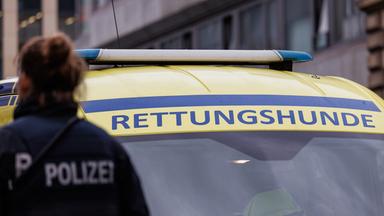 Suche nach Noah - Ranzen gefunden