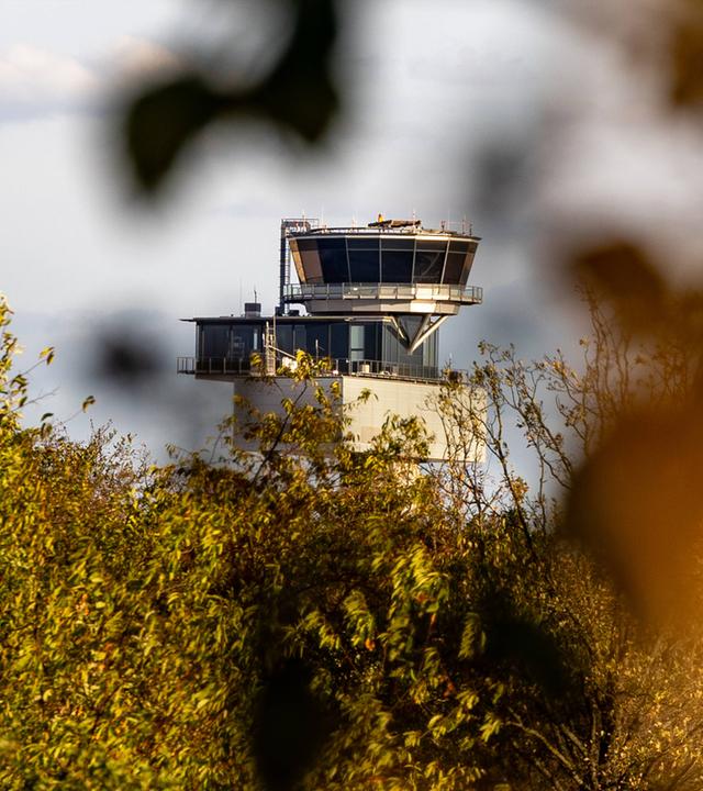 Symbolbild: Der Kontrollturm des Frankfurter Flughafens ist zwischen Blättern und dichter Vegetation zu sehen.