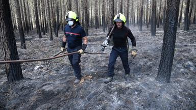 Waldbrand bei Bordeaux "unter Kontrolle"