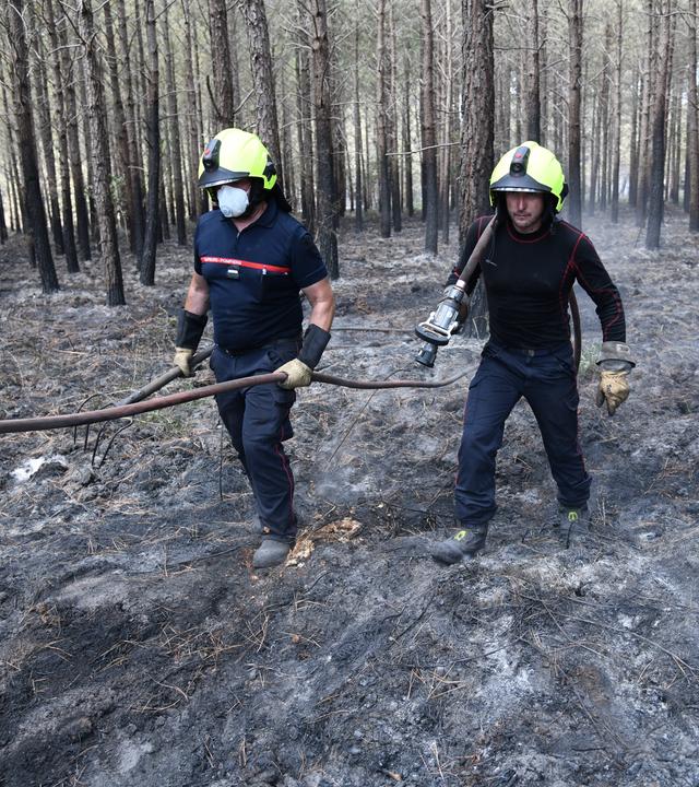 Frankreich, Bordeaux:Feuerwehrleute inspizieren und sichern ein von einem Waldbrand betroffenes Waldgebiet bei Bordeaux 