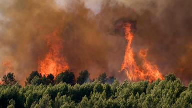 Flammen bei Waldbrand in Südwest-Frankreich bei Pouzols-Minervois