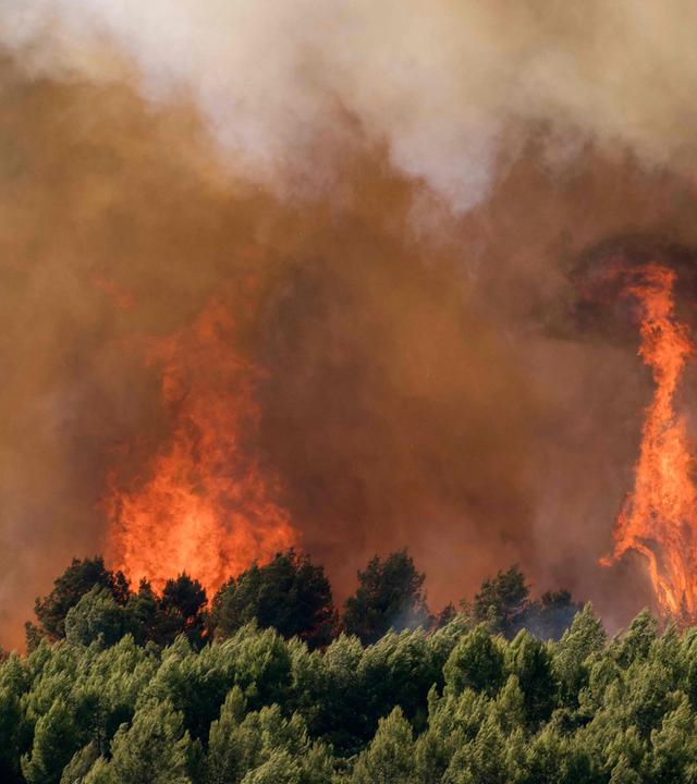 Flammen bei Waldbrand in Südwest-Frankreich bei Pouzols-Minervois