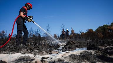Ein Feuerwehrmann sprüht Löschschaum auf verkohlte Bäume und Pflanzen.