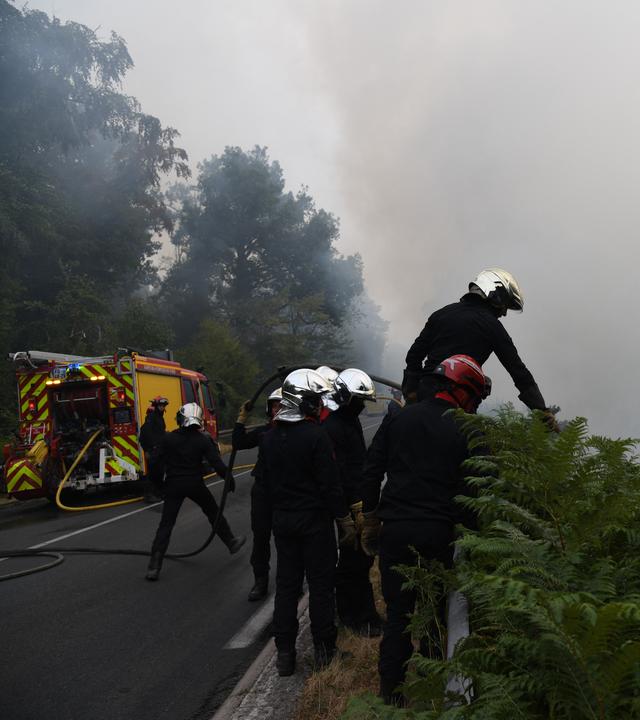 Ein außergewöhnlich großer Waldbrand breitet sich am 15. Juli 2026 im Wald von Fontainebleau südlich von Paris, Frankreich, aus. Angetrieben durch eine intensive Hitzewelle, anhaltende Dürrebedingungen und starke Winde,