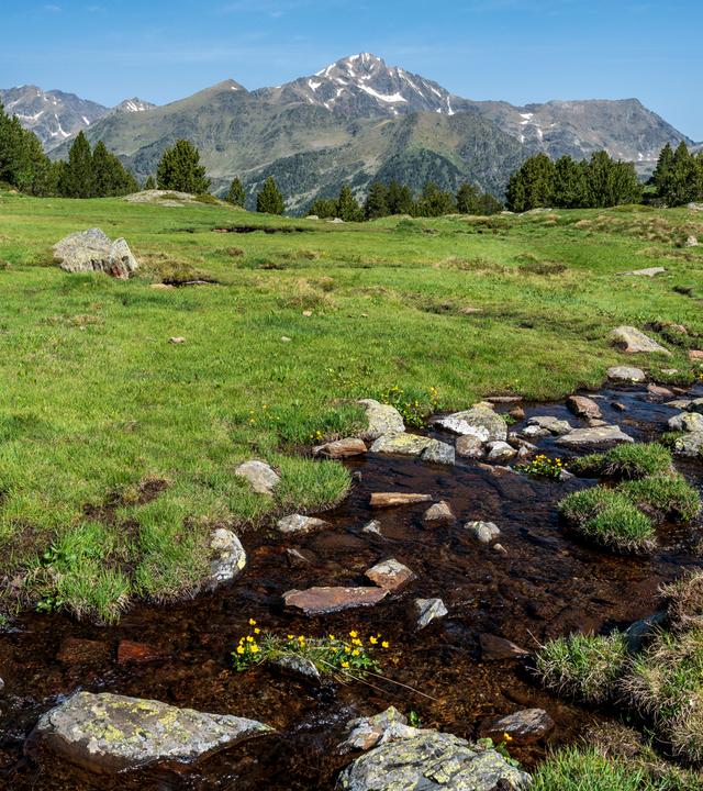 Bach mit Schmelzwasser, der das Sorteny-Tal hinunterfließt.
