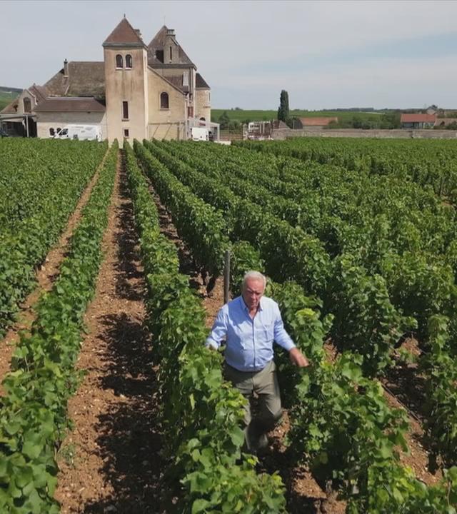 Frankreich: Winzer reagieren auf US-Zölle