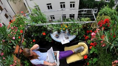 Archiv: Eine Frau sitzt München auf ihrem Balkon und liest Zeitung zwischen blühenden Pflanzen.