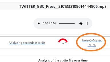 Screenshot: Frauenhofer Aisec - Deepfake total
