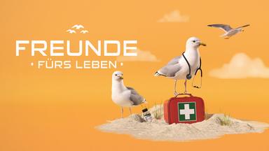 Freunde fürs Leben