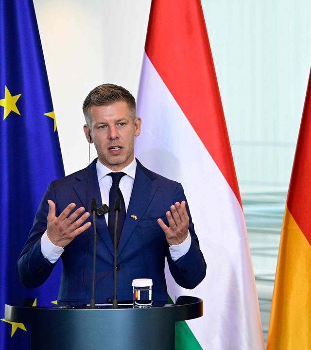 Bundeskanzler Friedrich Merz und Ungarns Premierminister Peter Magyar