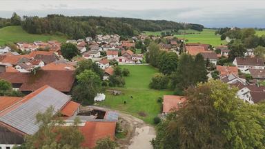 Friesenried