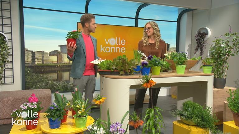 Florian Weiss und Anja Koenzen umgeben von Blumen.