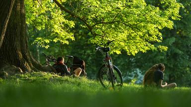 Frühling im Clara-Zetkin-Park