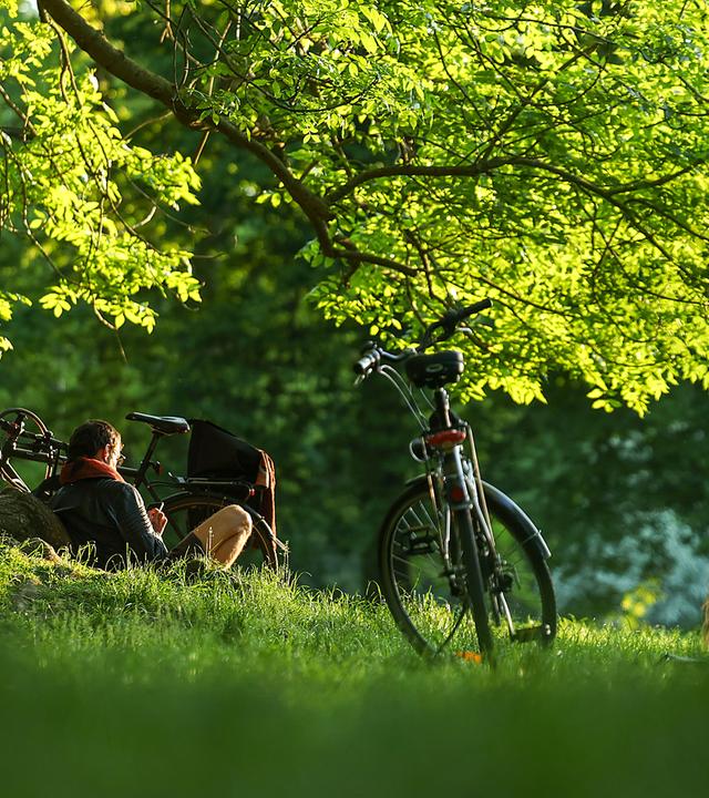 Frühling im Clara-Zetkin-Park