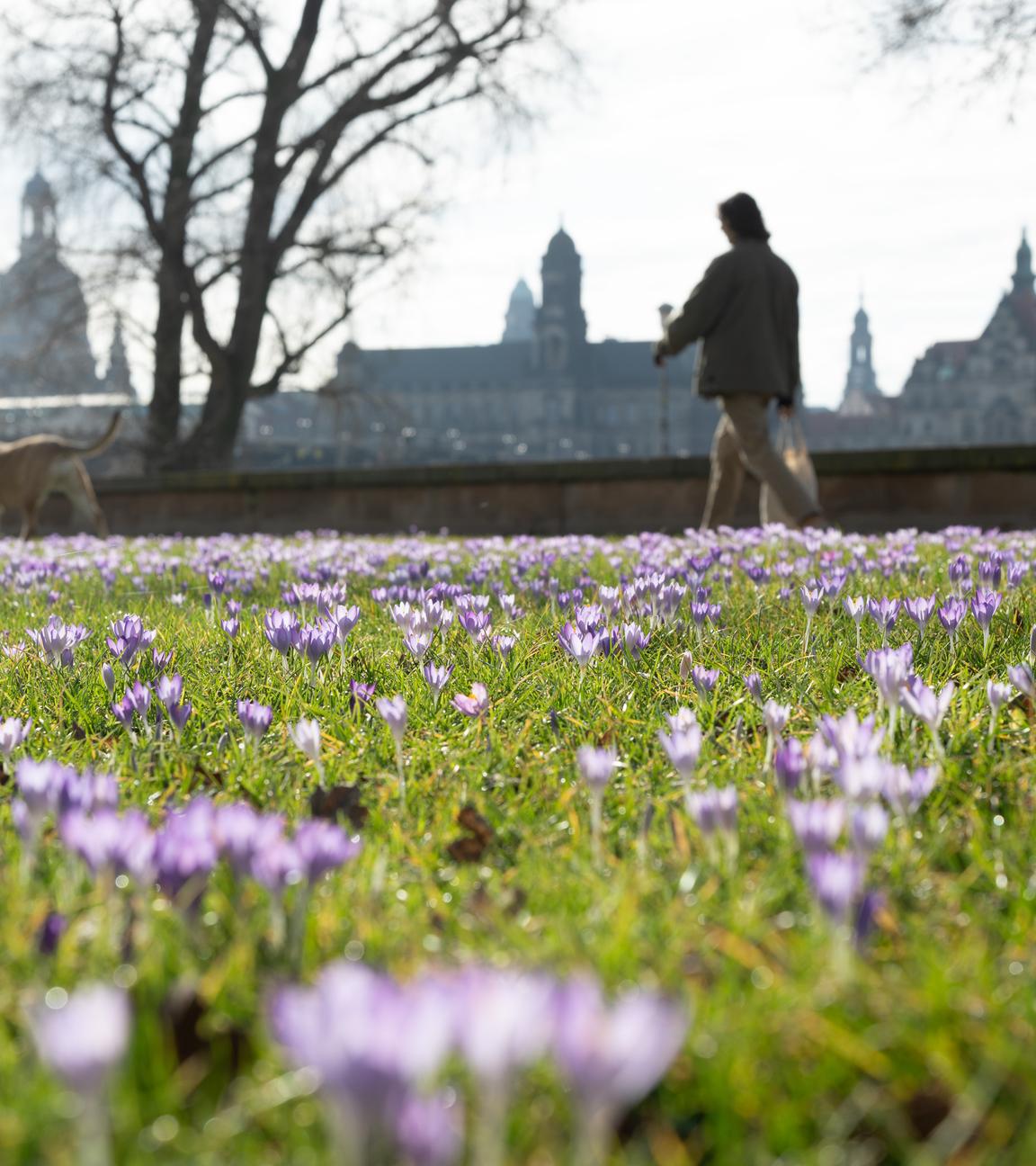 Frühling in Sachsen