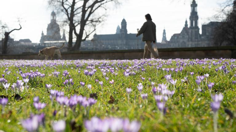 Frühling in Sachsen