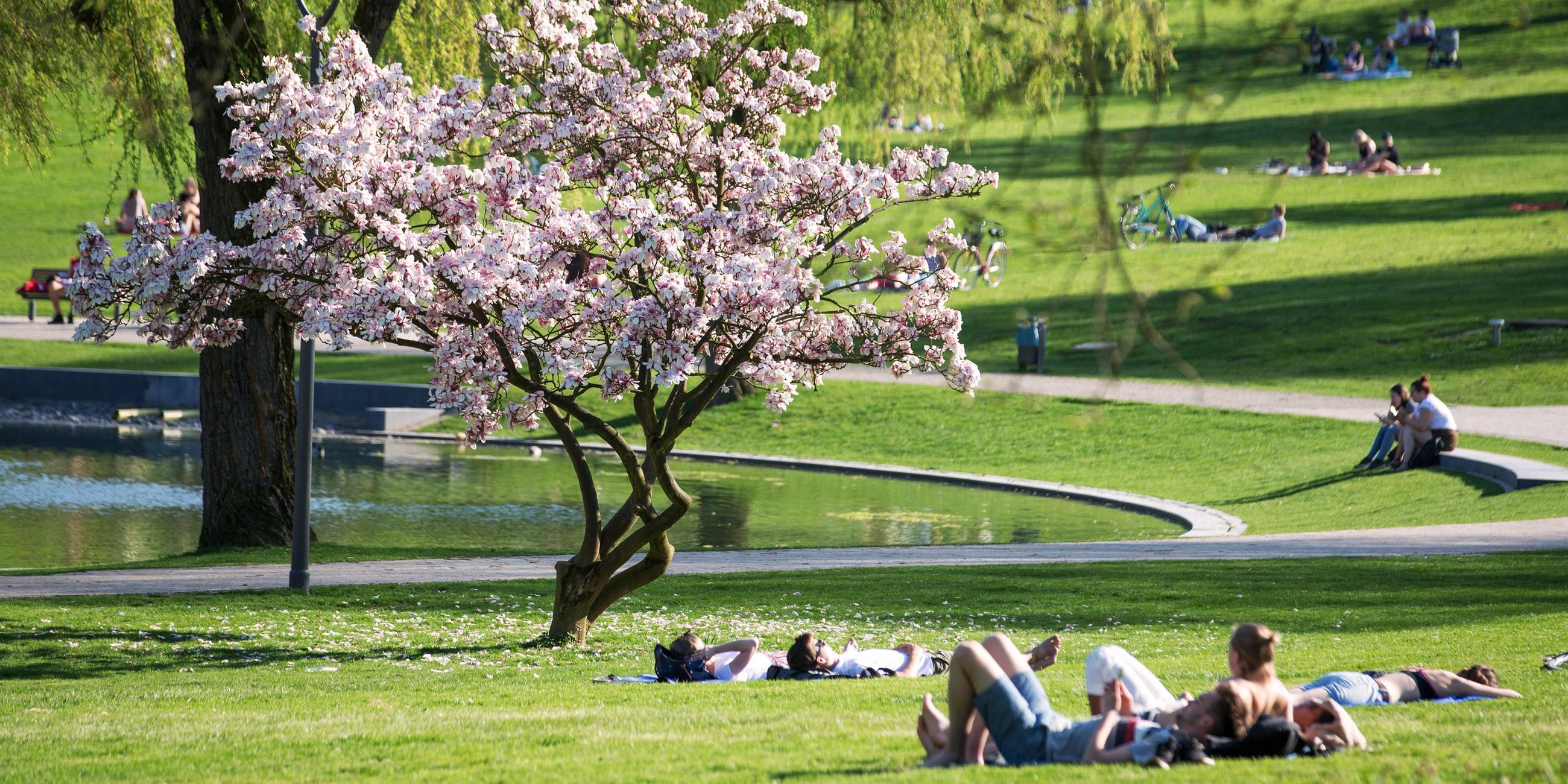 Menschen sonnen sich im Frühling in einem Park