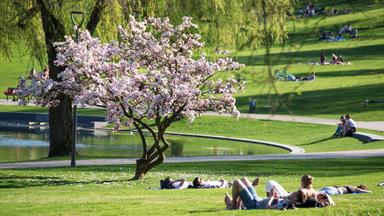 Menschen sonnen sich im Frühling in einem Park