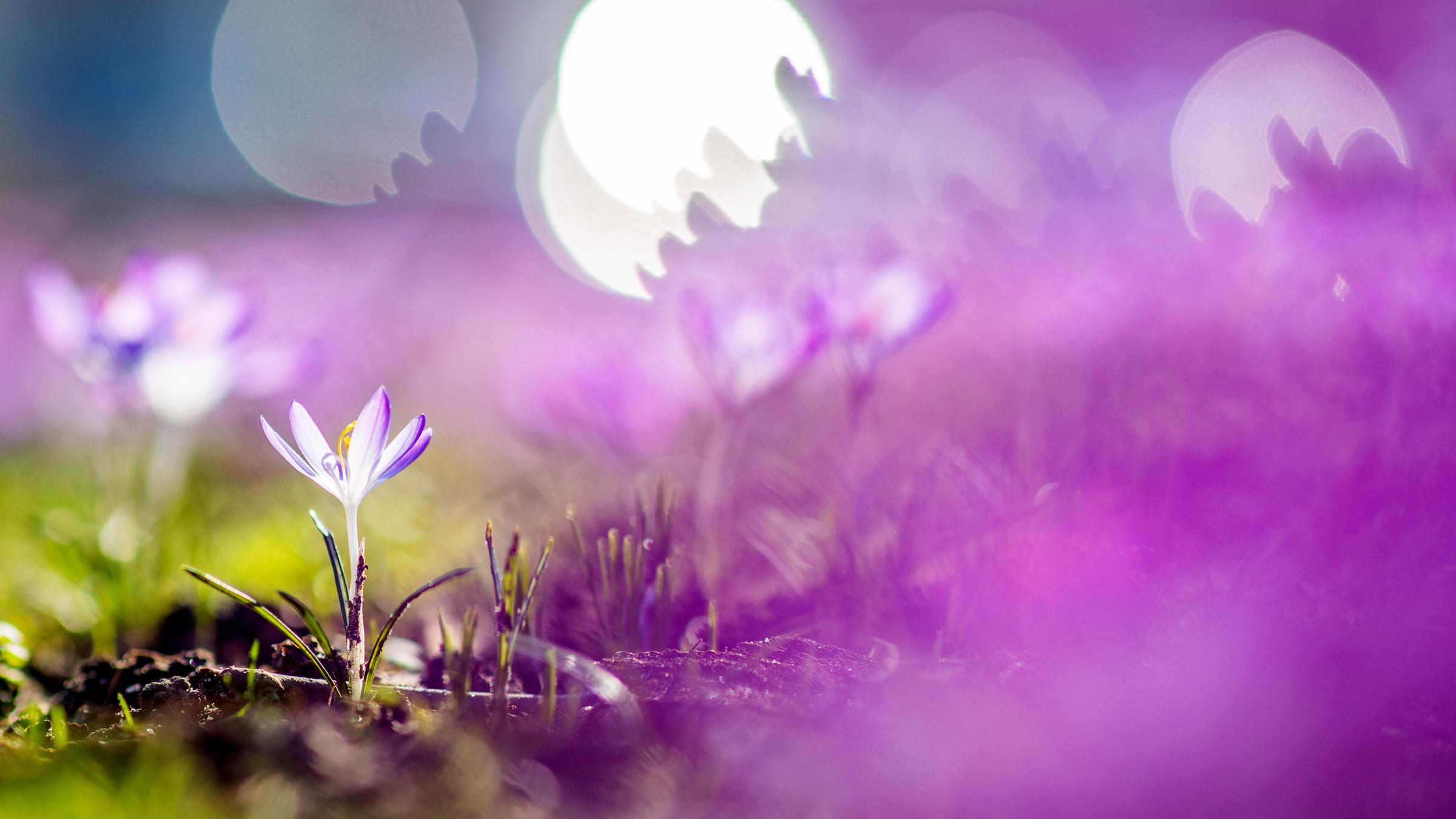 Frühlingsanfang in NRW