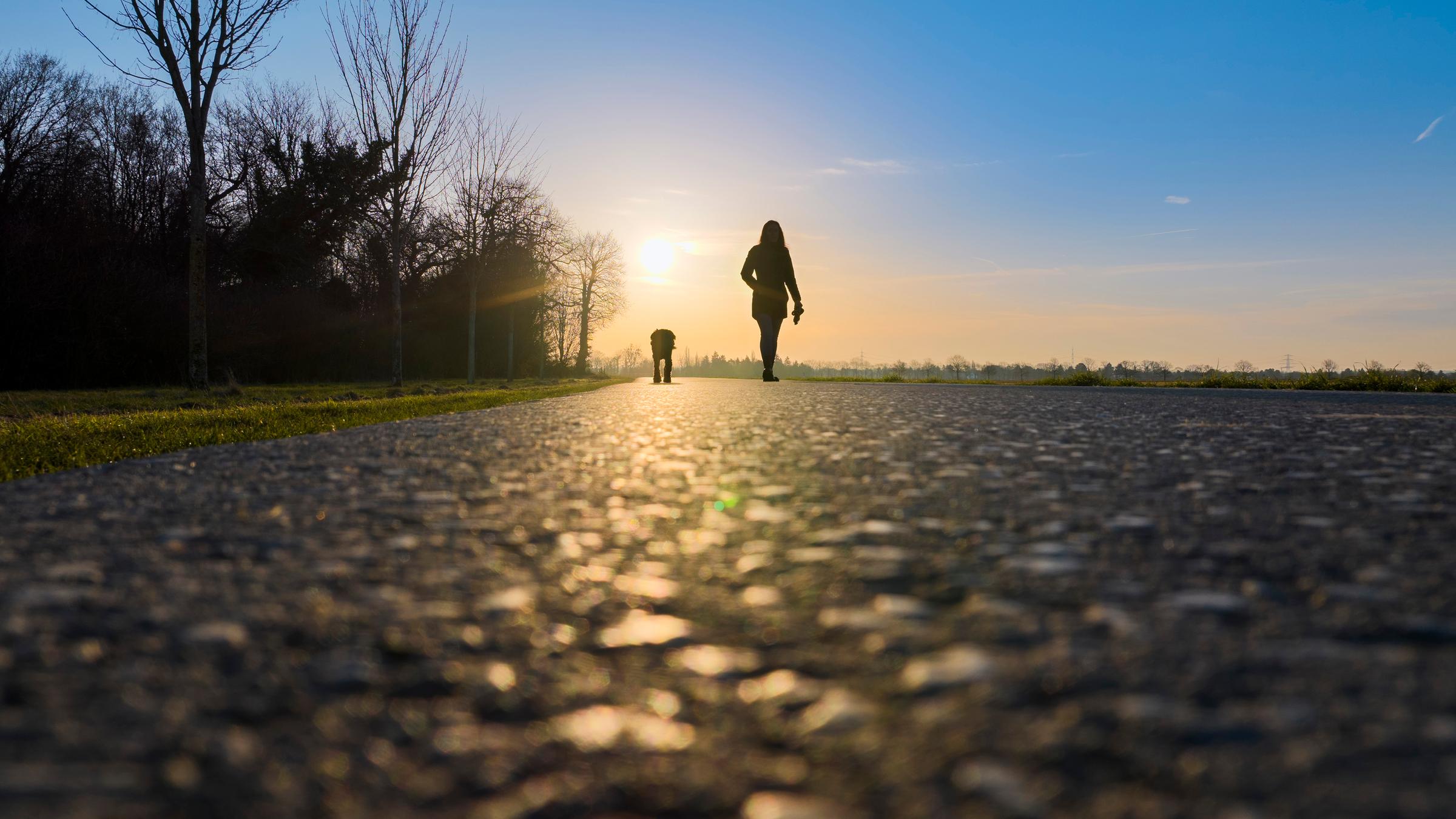 Nordrhein-Westfalen, Düsseldorf: Eine Frau geht mit ihrem Hund am Morgen spazieren, im Hintergrund geht die Sonne auf.