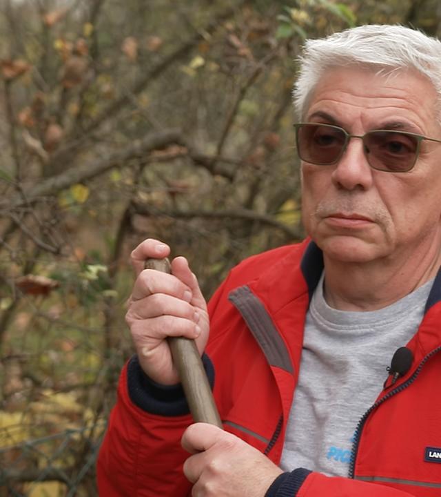 Bernd Wurlitzer, Frührentner