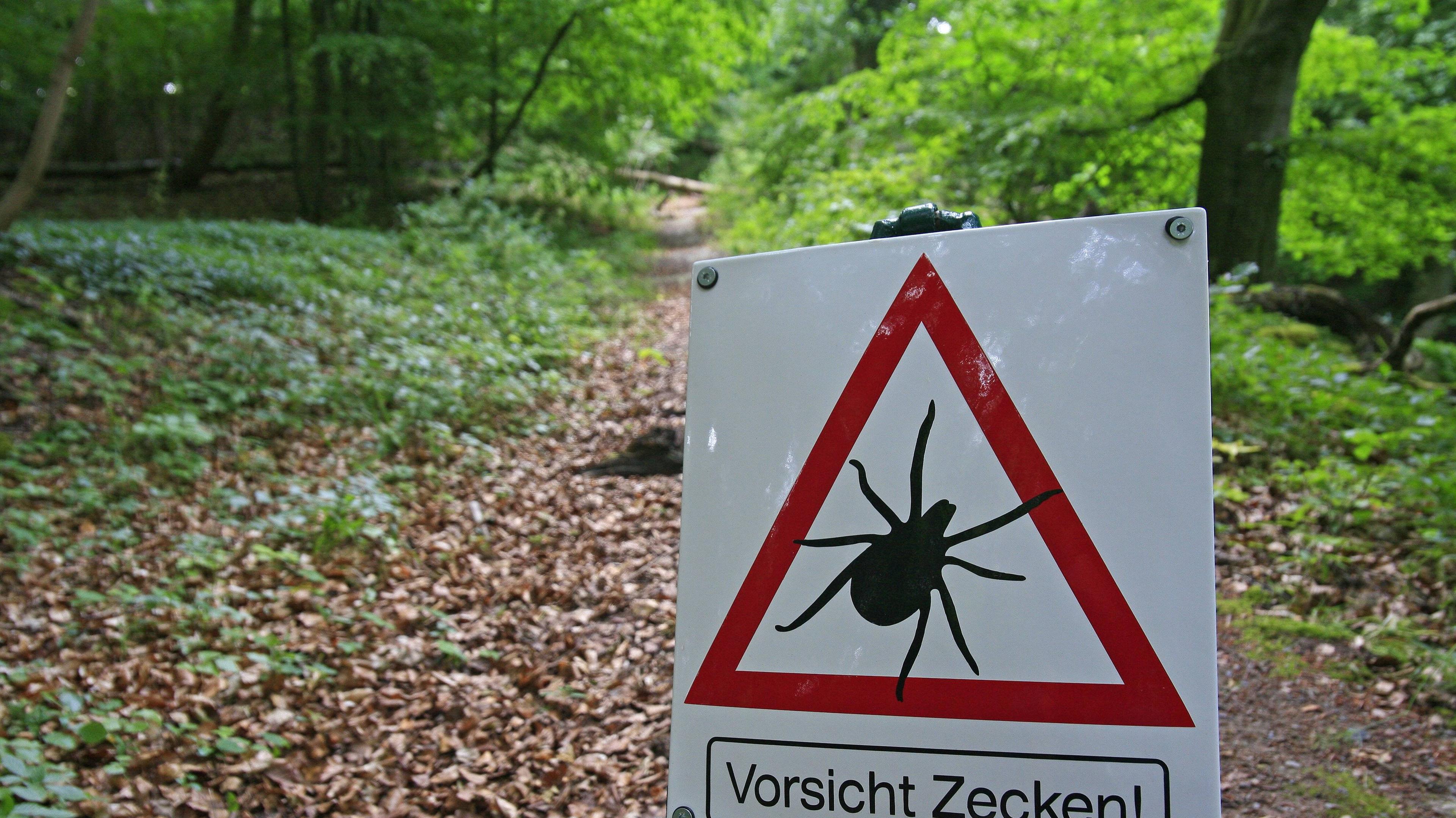 Zecken-Warnschild im Wald