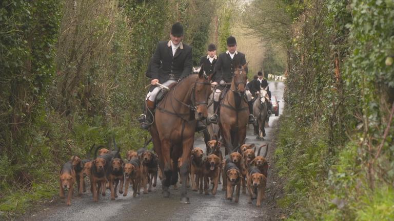 Reiter auf Pferden, umgeben von Hunden