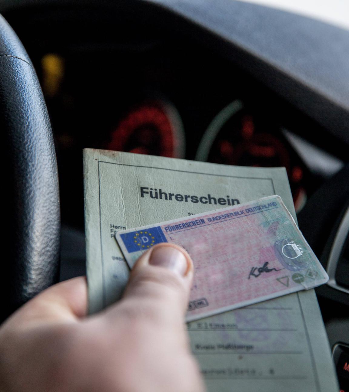 olivenbaum blankenloch Olivenbaum 7 Jahre  toskanagartenshop