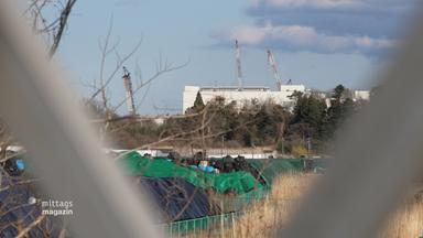 Bauarbeiten in Fukushima 