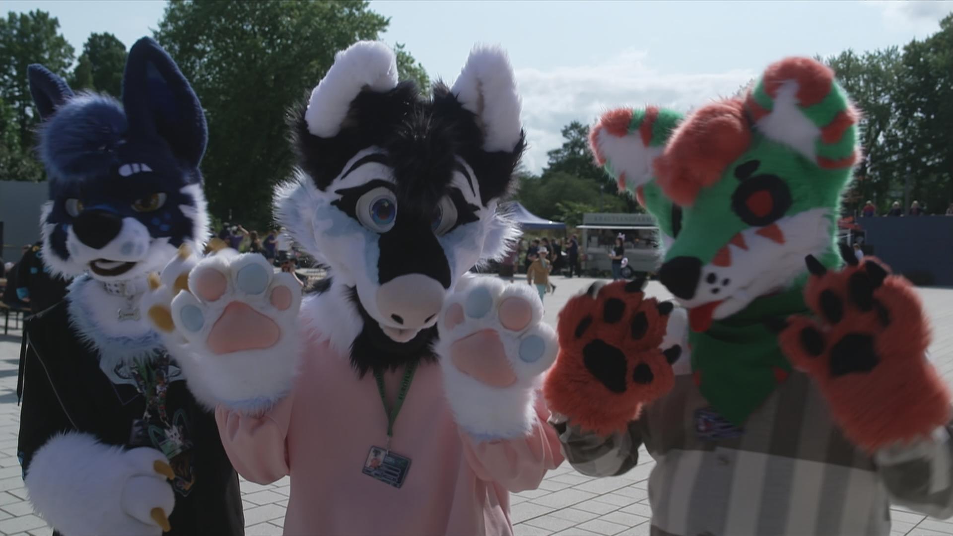Furry Convention