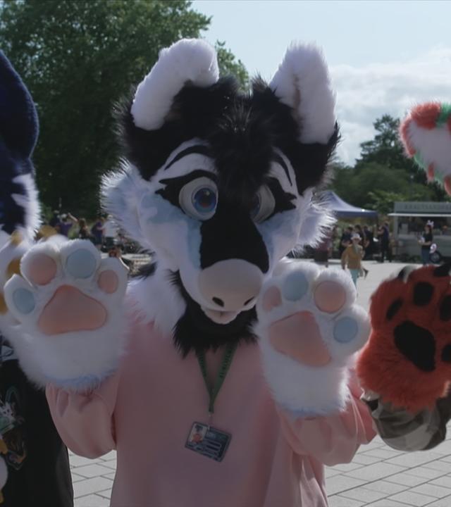 Furry Convention