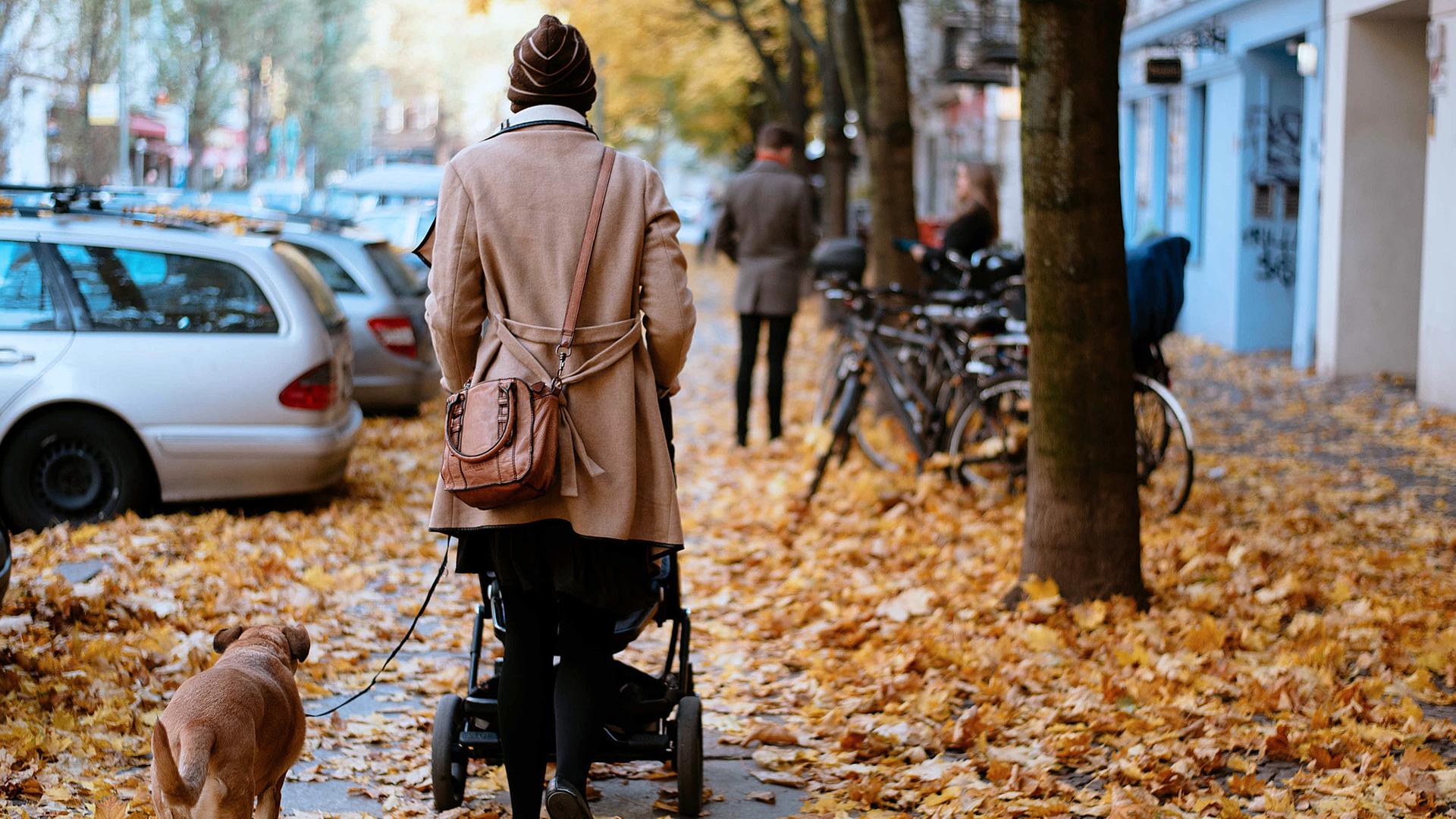 Archiv: Eine Frau geht mit Kinderwagen und einem Hund an der Leine in Berlin über herbstlich gefärbtes Laub.