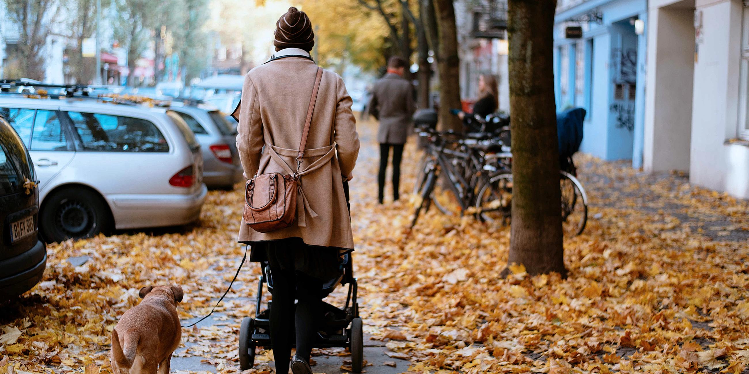 Archiv: Eine Frau geht mit Kinderwagen und einem Hund an der Leine in Berlin über herbstlich gefärbtes Laub.