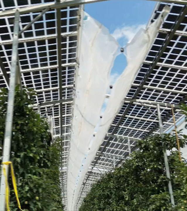 Photovoltaik