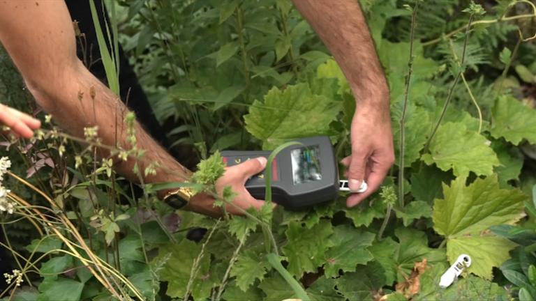 moma future: Pflanzeninseln, die Kühle spenden