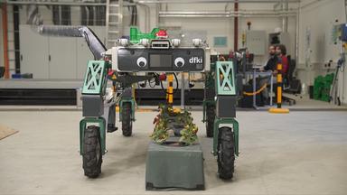 moma future: Die Zukunft ist modular