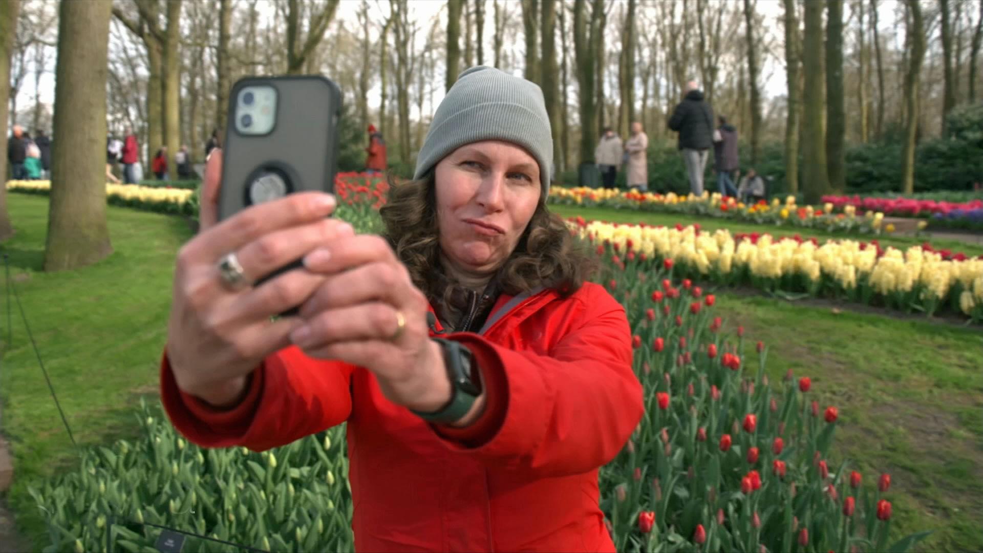 Platz im Garten: Tulpen