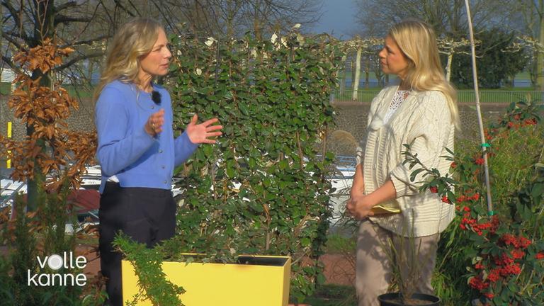 Anja Koenzen und Nadine Krüger stehen vor Hecken und präsentieren diese