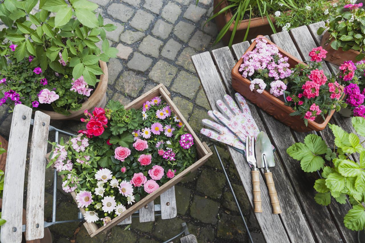 Gartenutensilien