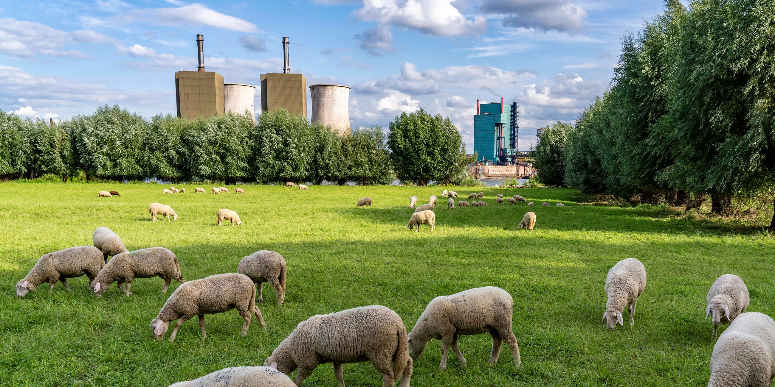 RWE-Gaskraftwerk Duisburg-Huckingen