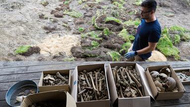 Braunschweig: Skelettteile im Garten entdeckt
