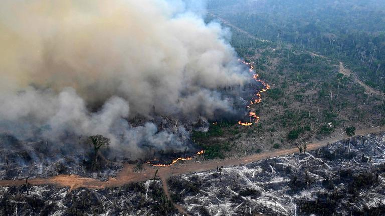 Luftaufnahme eines durch illegale Brände abgeholzten Amazonas-Regenwaldgebiets in der Gemeinde Labrea im brasilianischen Bundesstaat Amazonas (Brasilien)