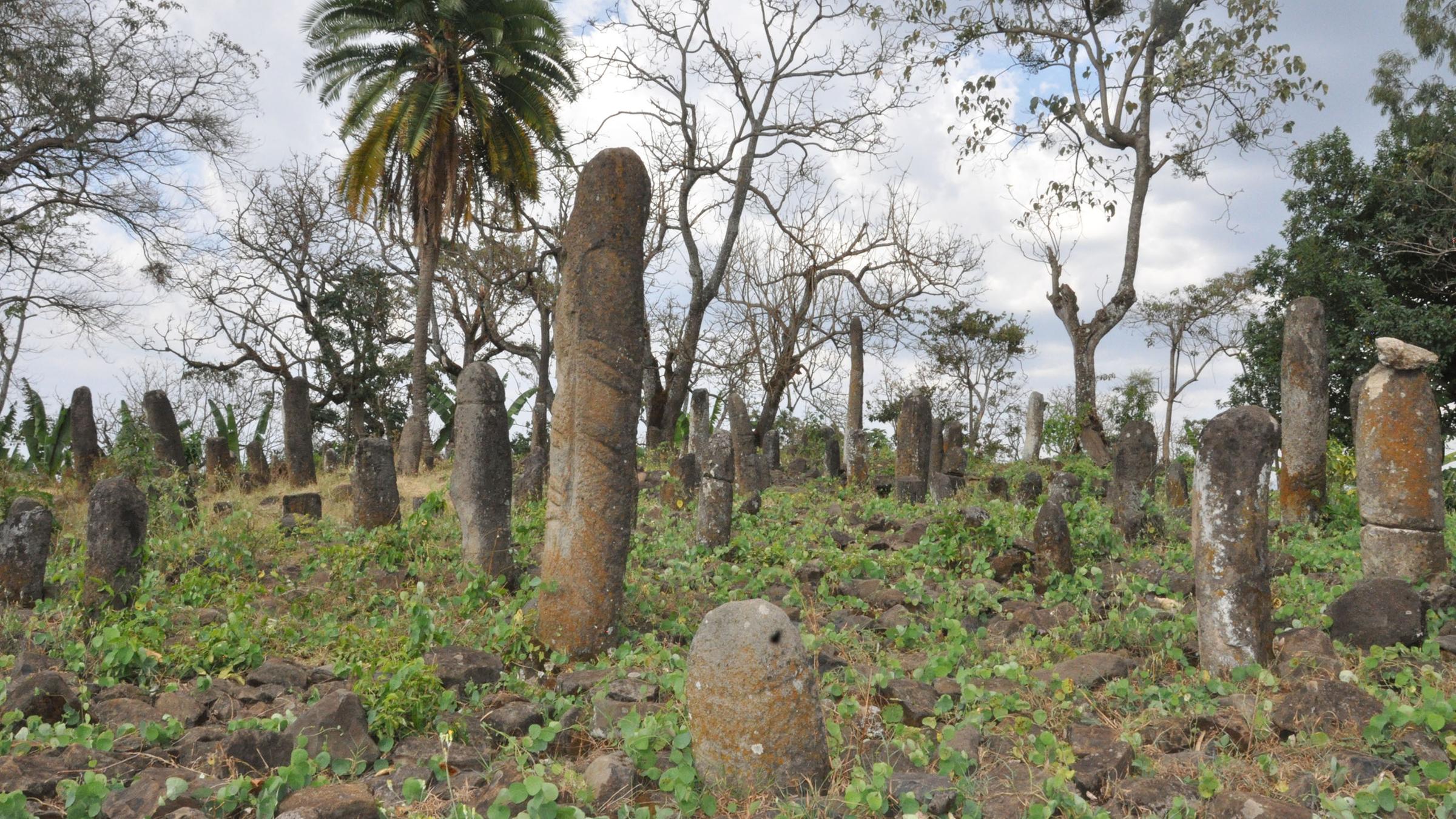 Kulturlandschaft von Gedeo